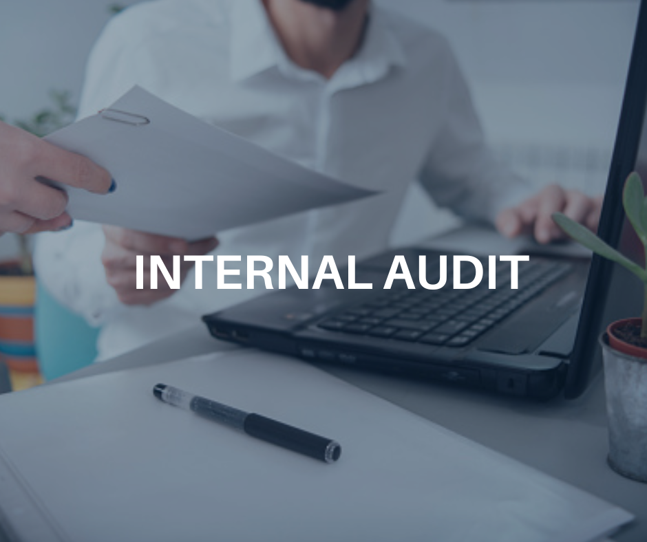 internalaudit